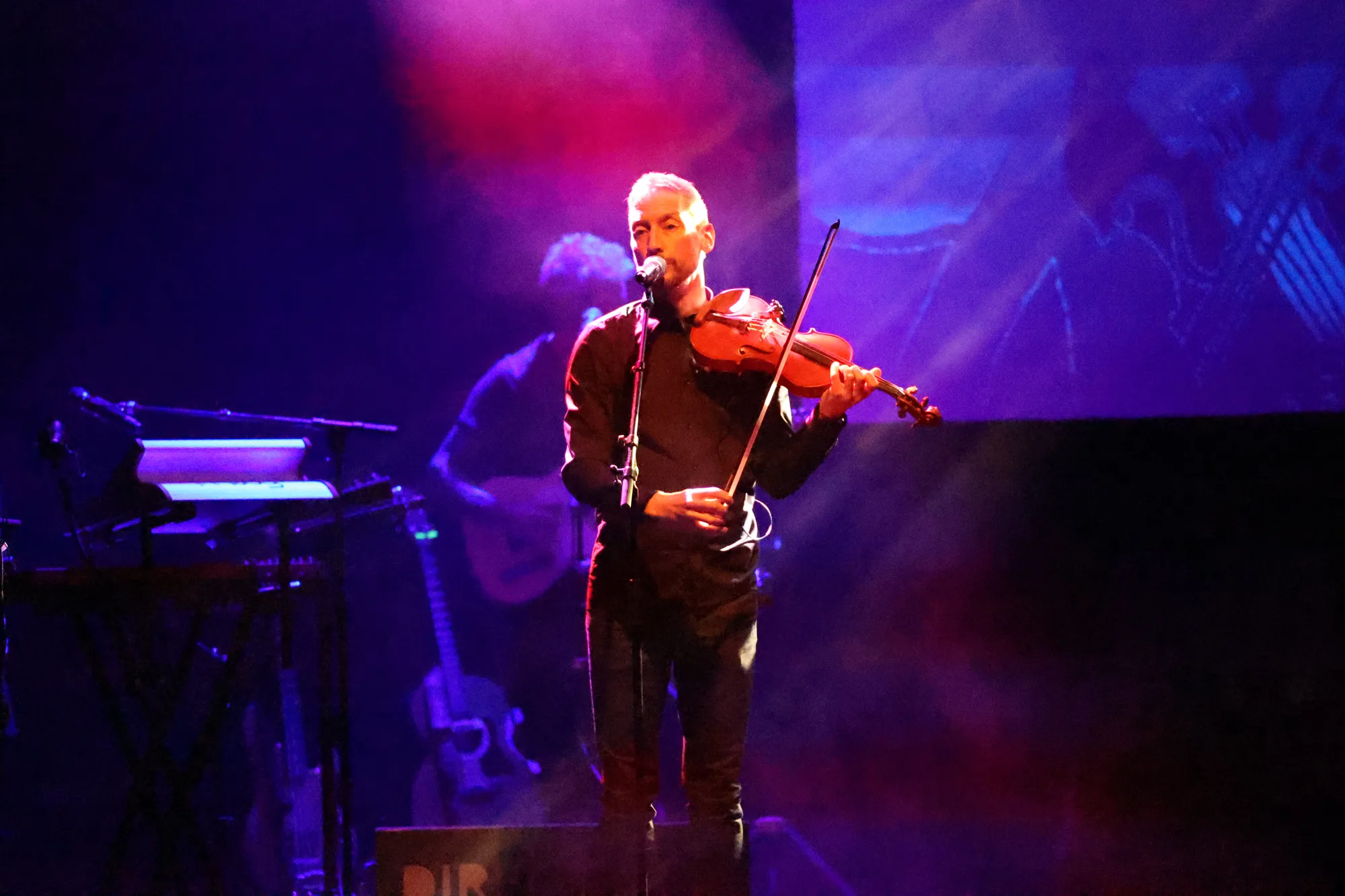 Le violon dans une lumière violette.