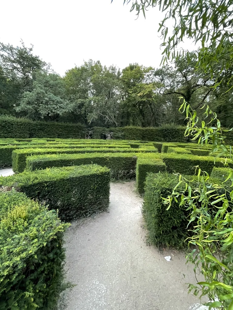 Les lignes des parterres organisent le regard.