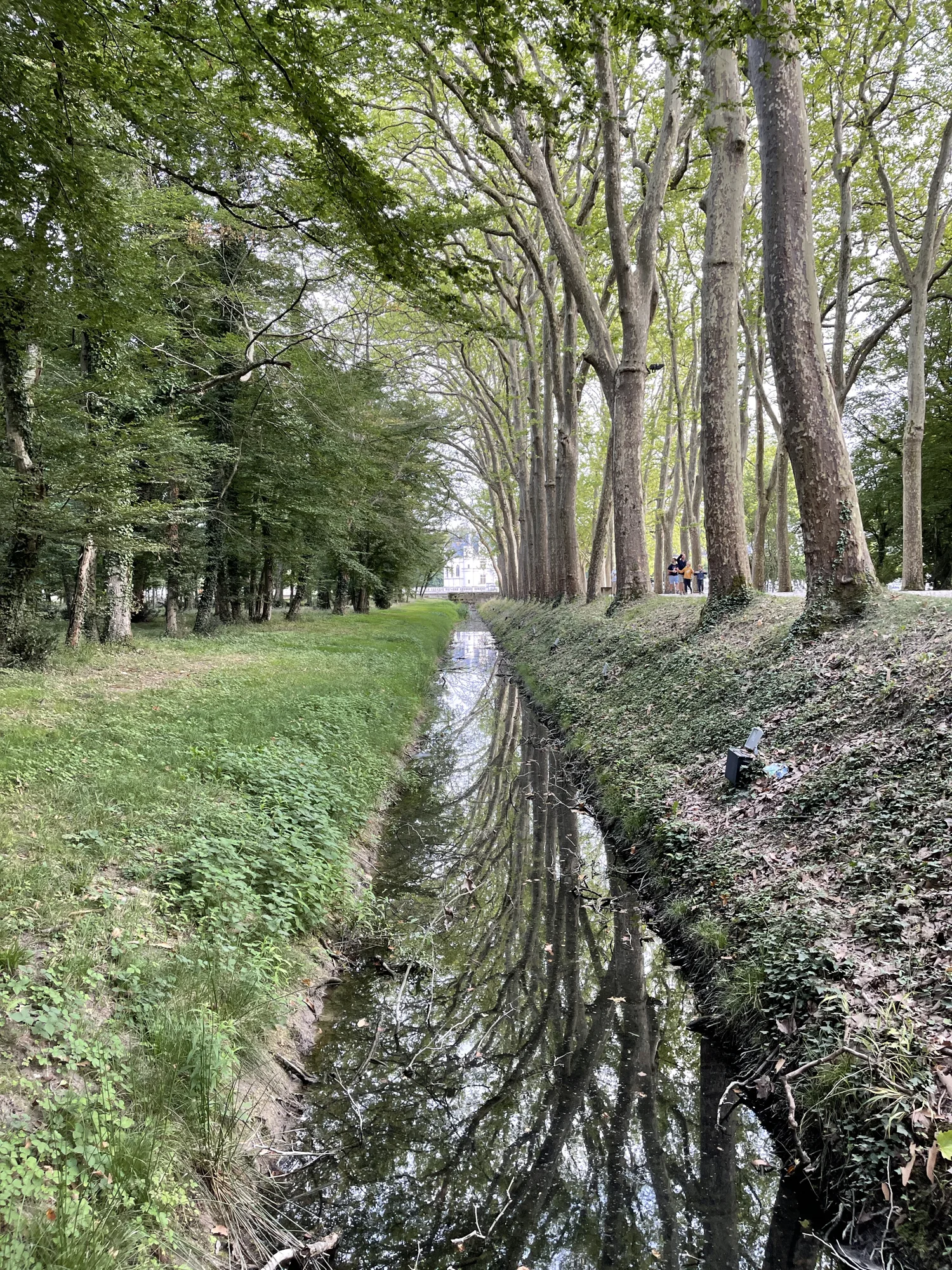 Le jardin se découvre aussi dans ses détails.