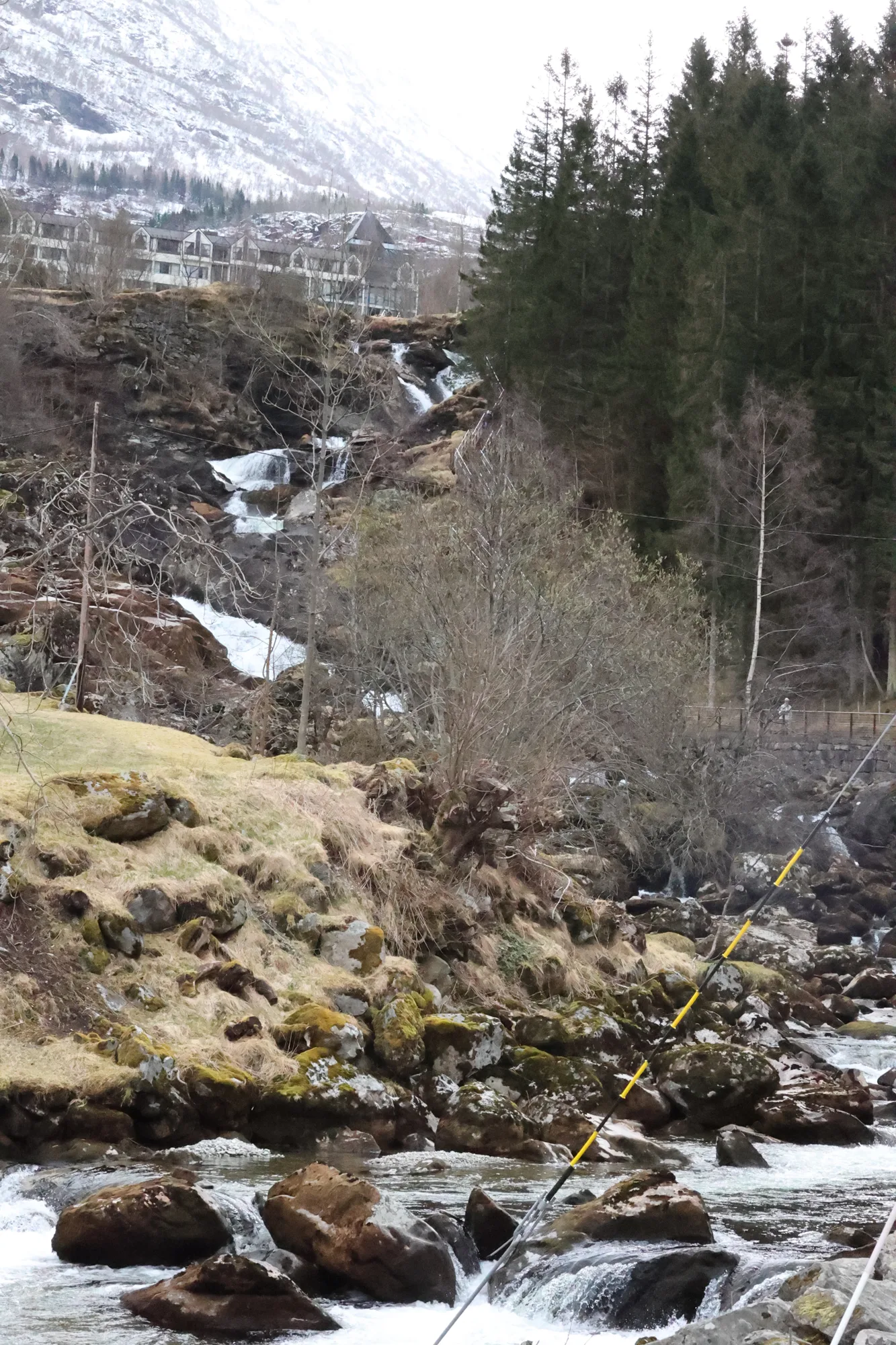 L’eau apparaît entre les rochers et les arbres.