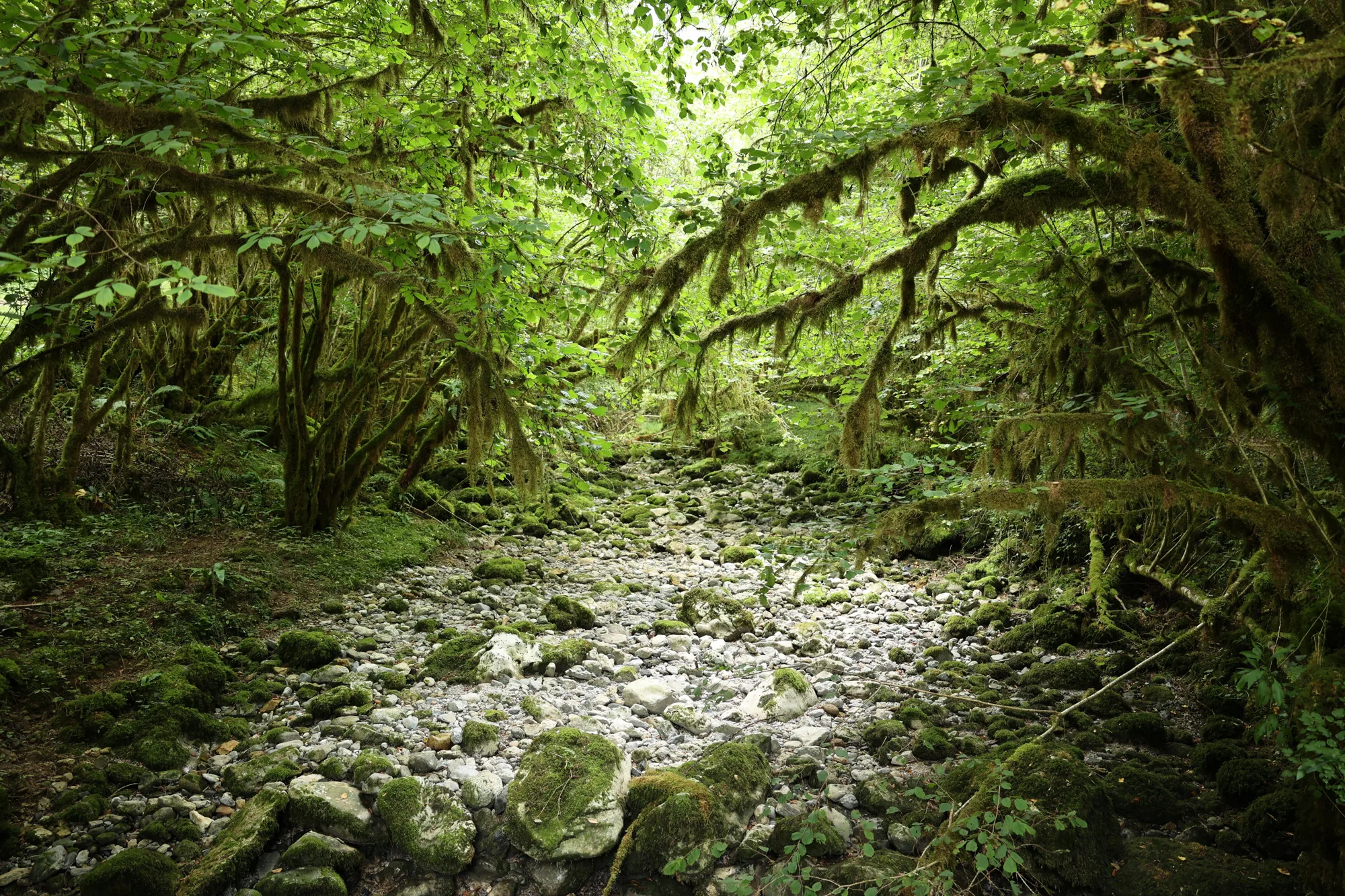 Les blocs structurent le paysage.