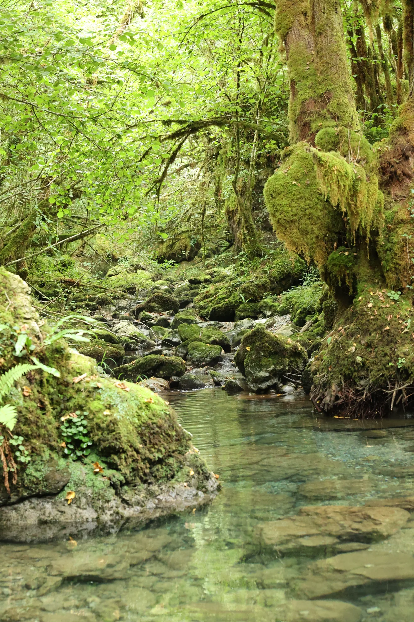 Le cours d’eau traverse les surfaces minérales.