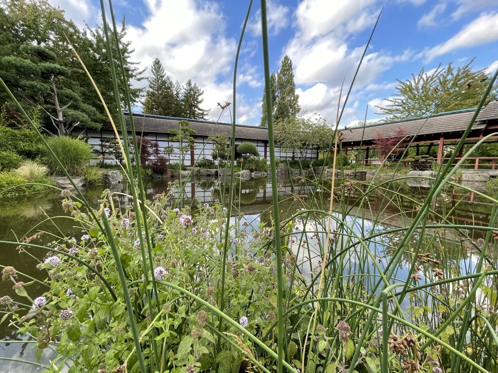 Les lignes bâties rencontrent celles du jardin.