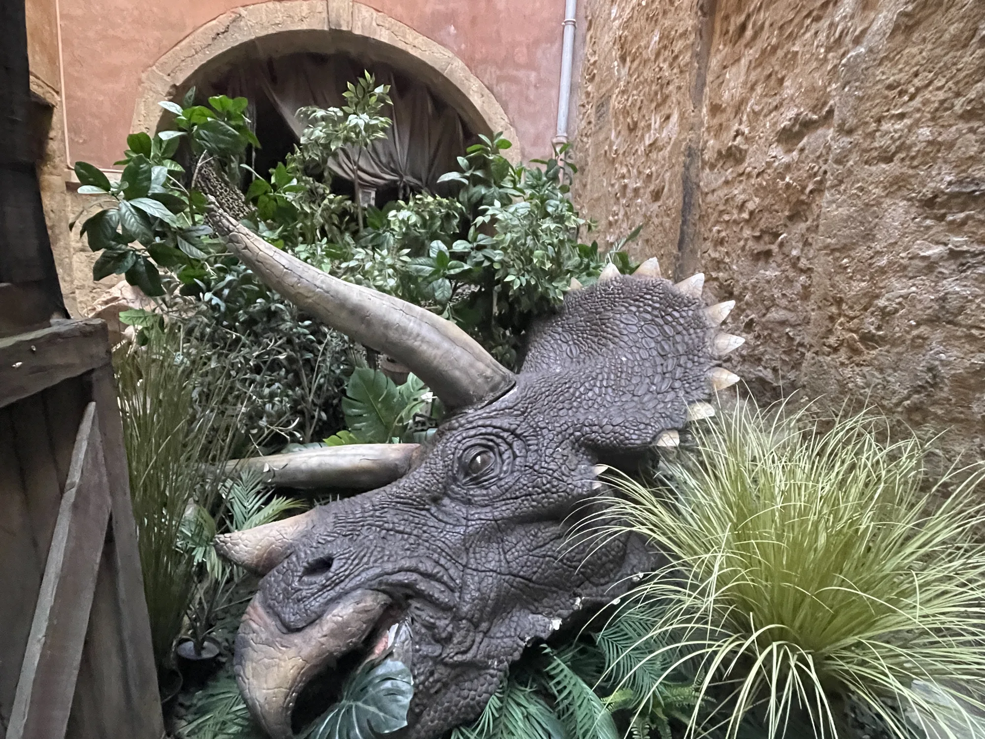 Une créature accueille le regard dans le parcours du musée.