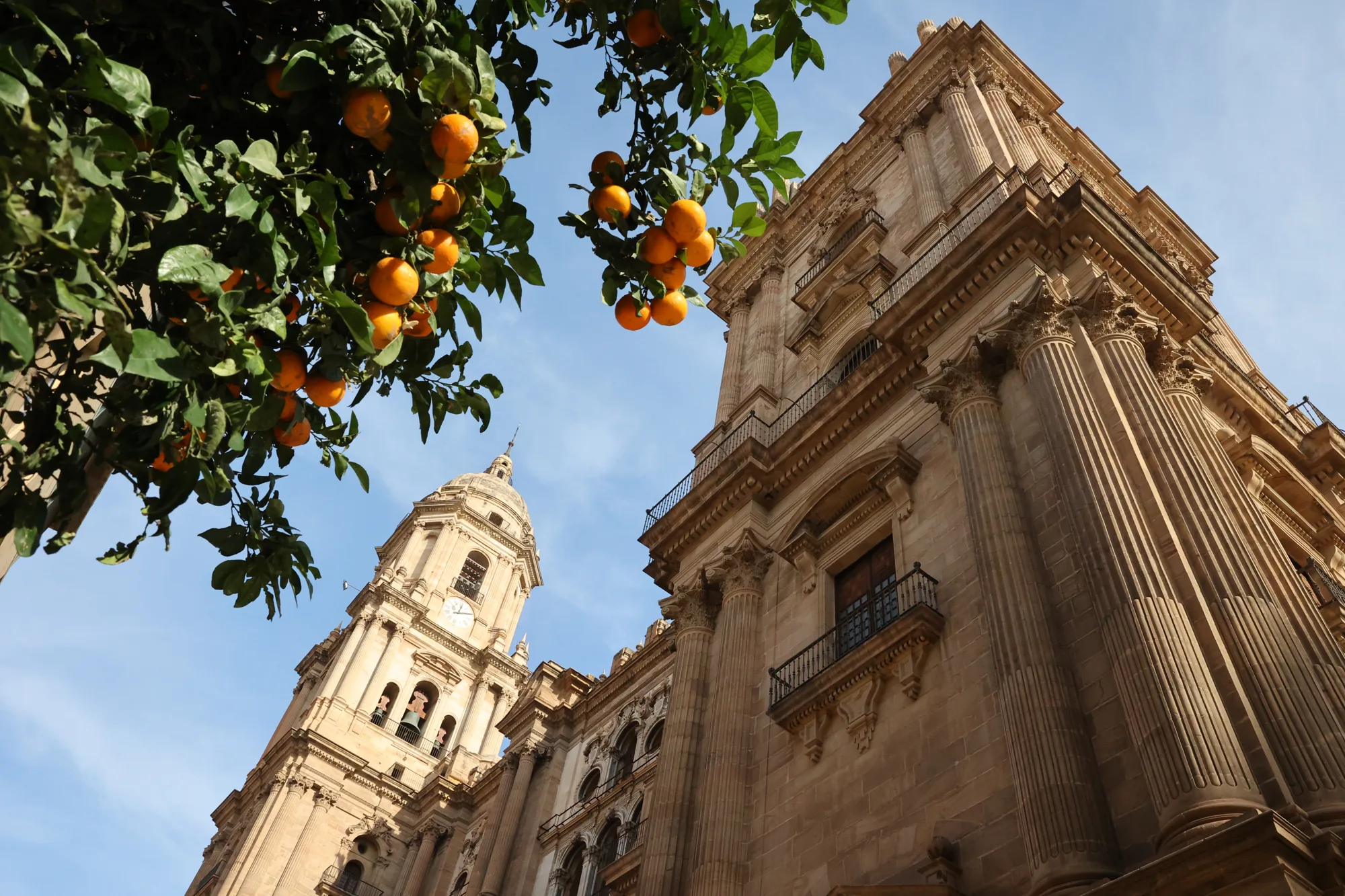 Málaga : autour de la cathédrale, la ville à hauteur de rue.