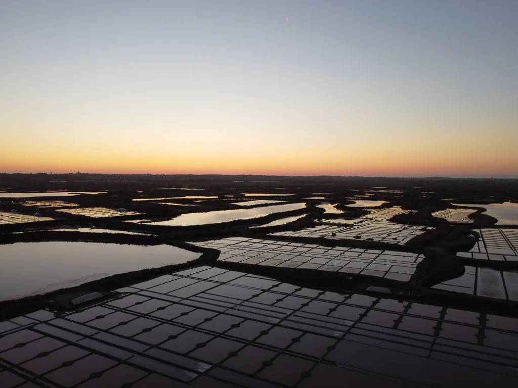 Dans les marais salants de Guérande, le paysage se dessine à l’aube.