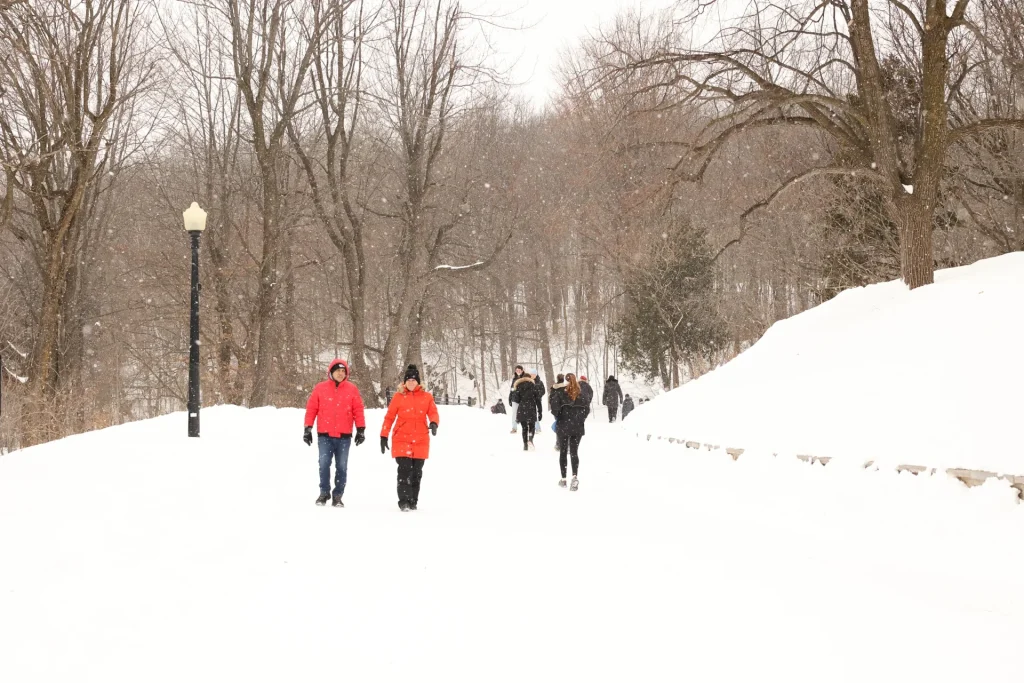 Promeneurs sur un chemin enneigé au Mont-Royal