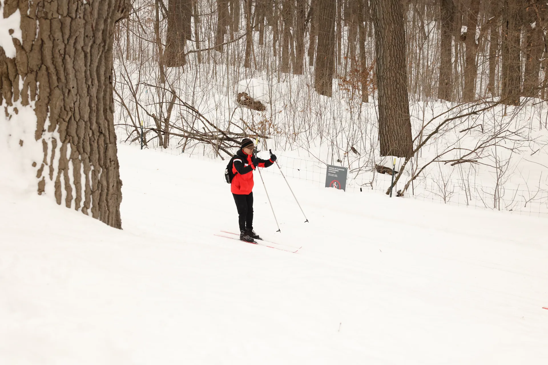 Personne en manteau rouge sur une piste enneigée parmi les arbres