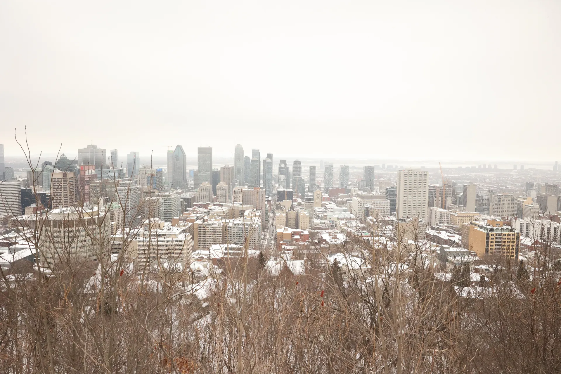 Panorama de Montréal au-delà des arbres enneigés du Mont-Royal