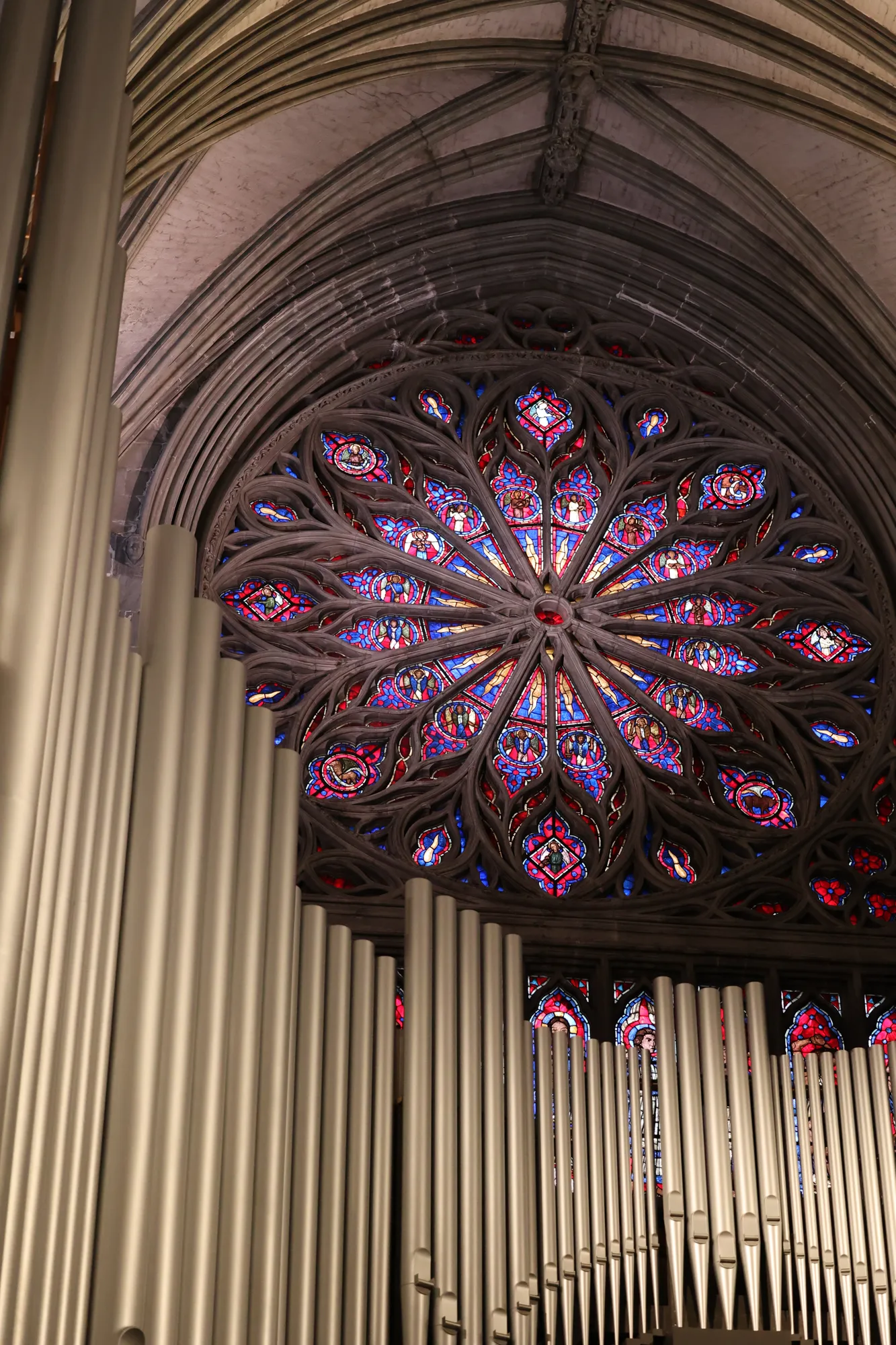 La lumière colorée de la rose vue depuis l’intérieur.