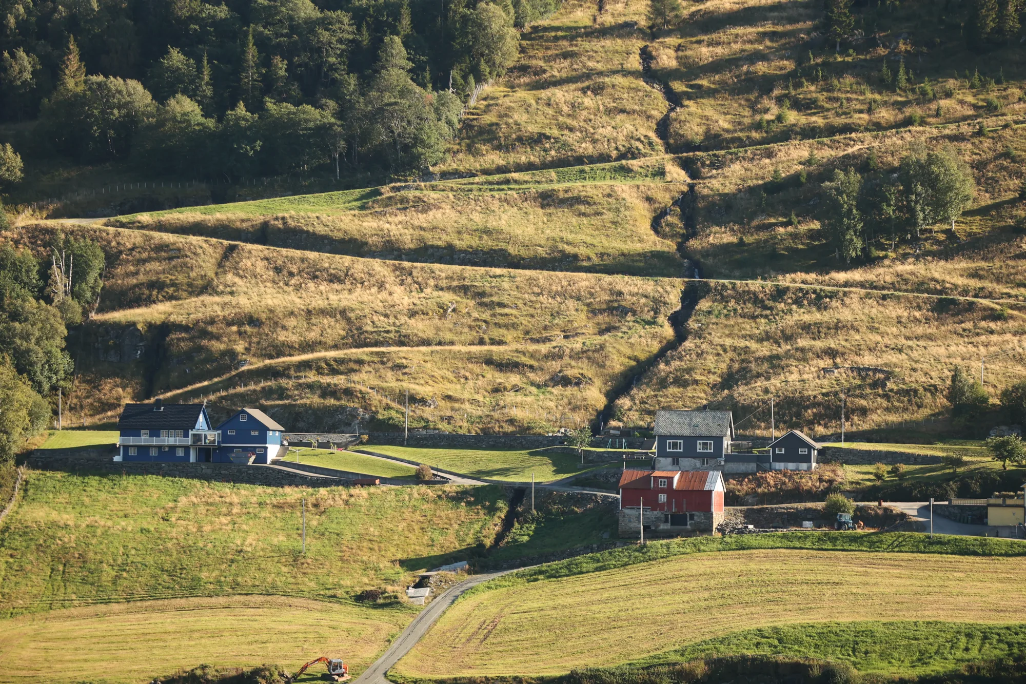 Une prairie se détache des zones boisées.