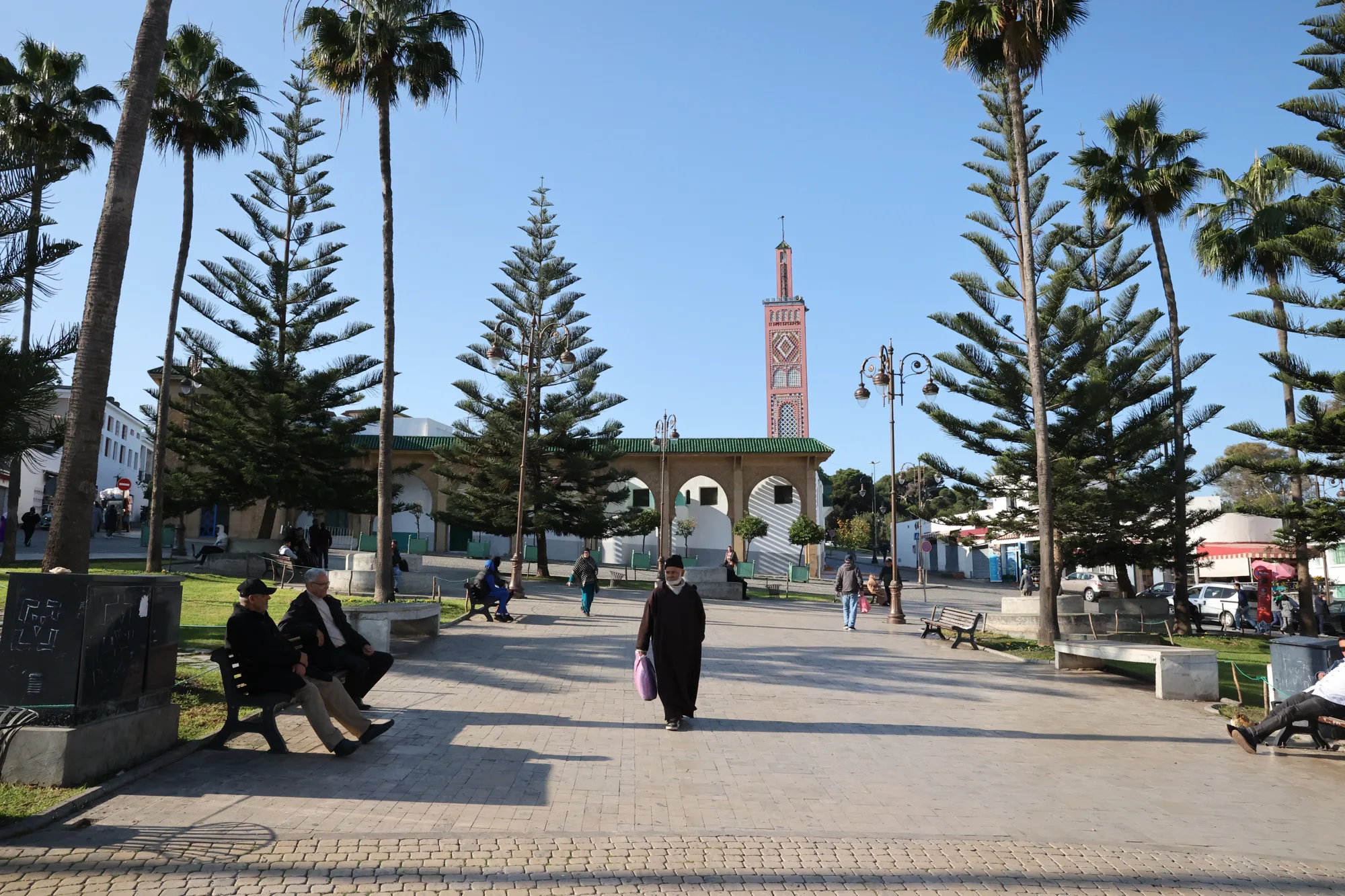 Palmiers, bancs et minaret : une respiration dans la promenade tangéroise.