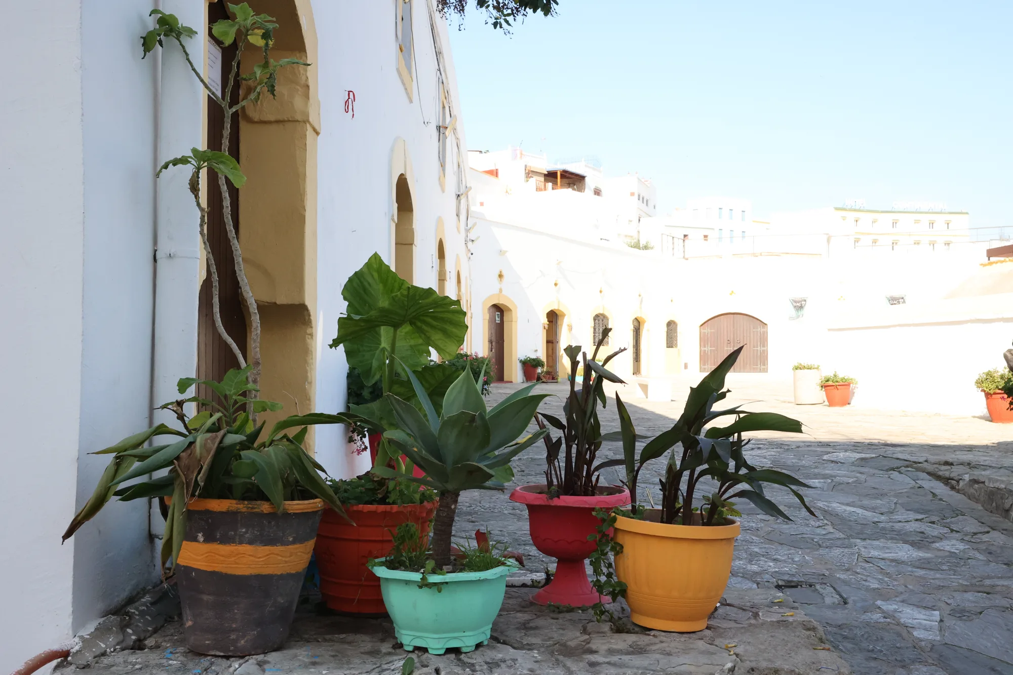 Les plantes et les pots colorés prolongent la façade jusque dans le passage.