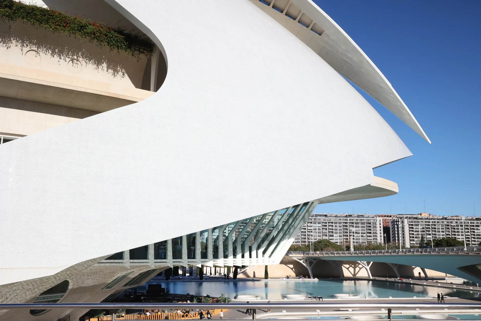 La grande enveloppe blanche du Palau de les Arts se détache sur le ciel.