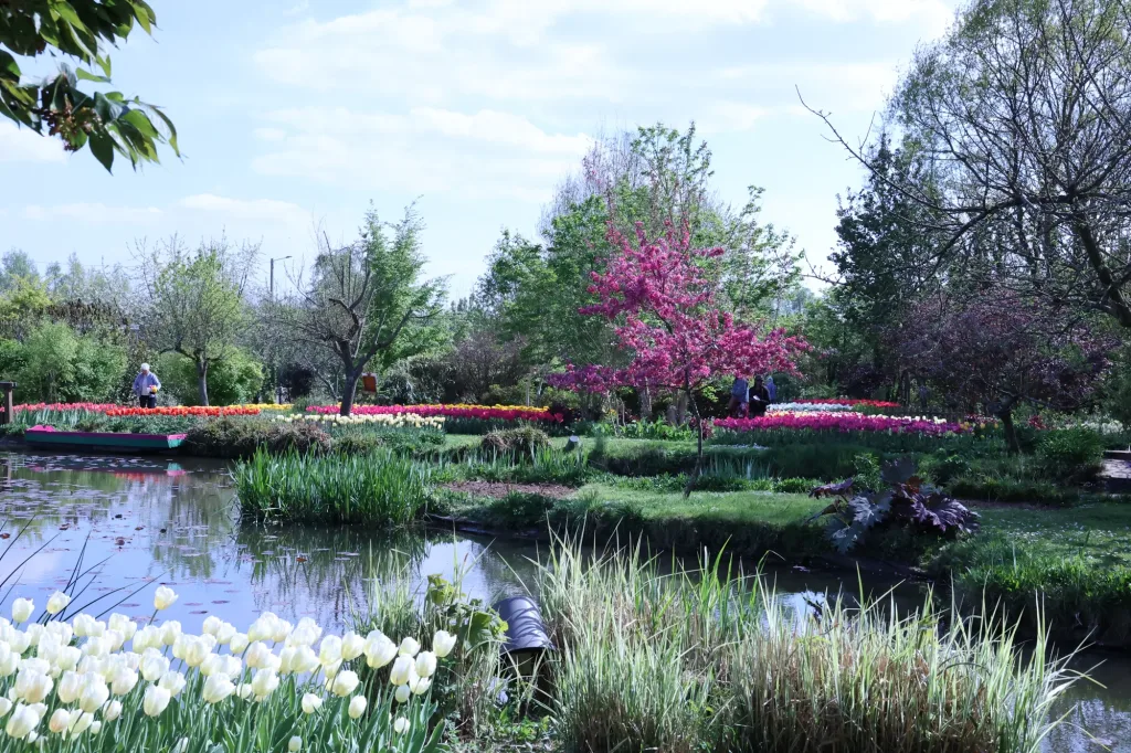 À Saint-Paul, l’eau et les floraisons superposent plusieurs plans de couleur.