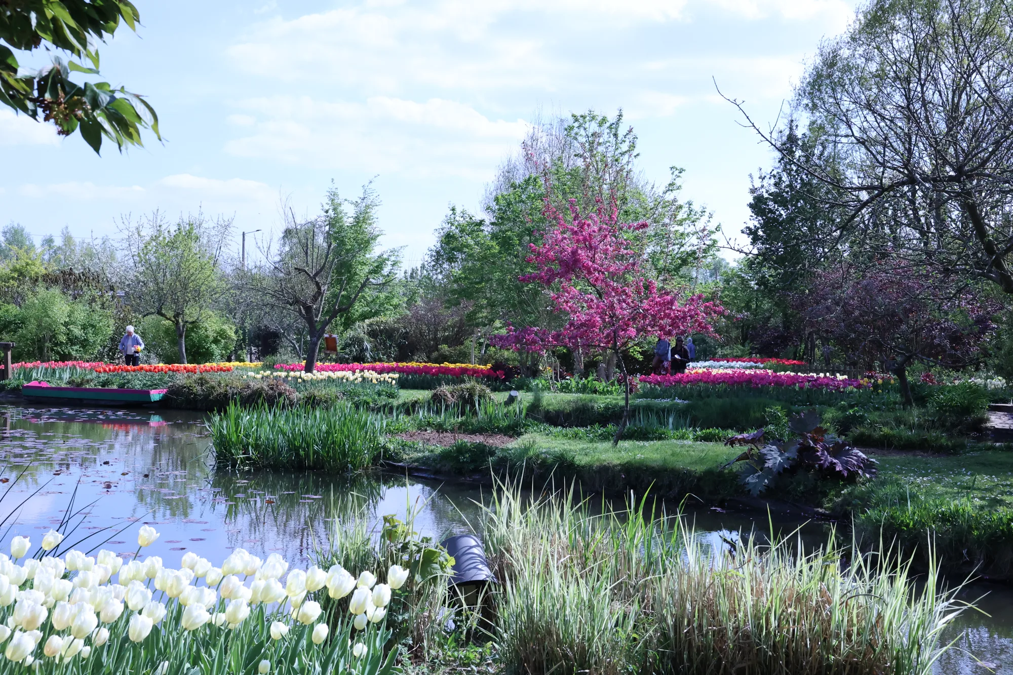 À Saint-Paul, l’eau et les floraisons superposent plusieurs plans de couleur.